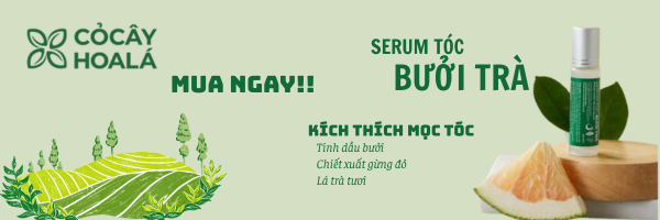 Serum Tóc Bưởi Trà Cỏ Cây Hoa Lá kích thích mọc tóc, giảm gãy rụng tóc
