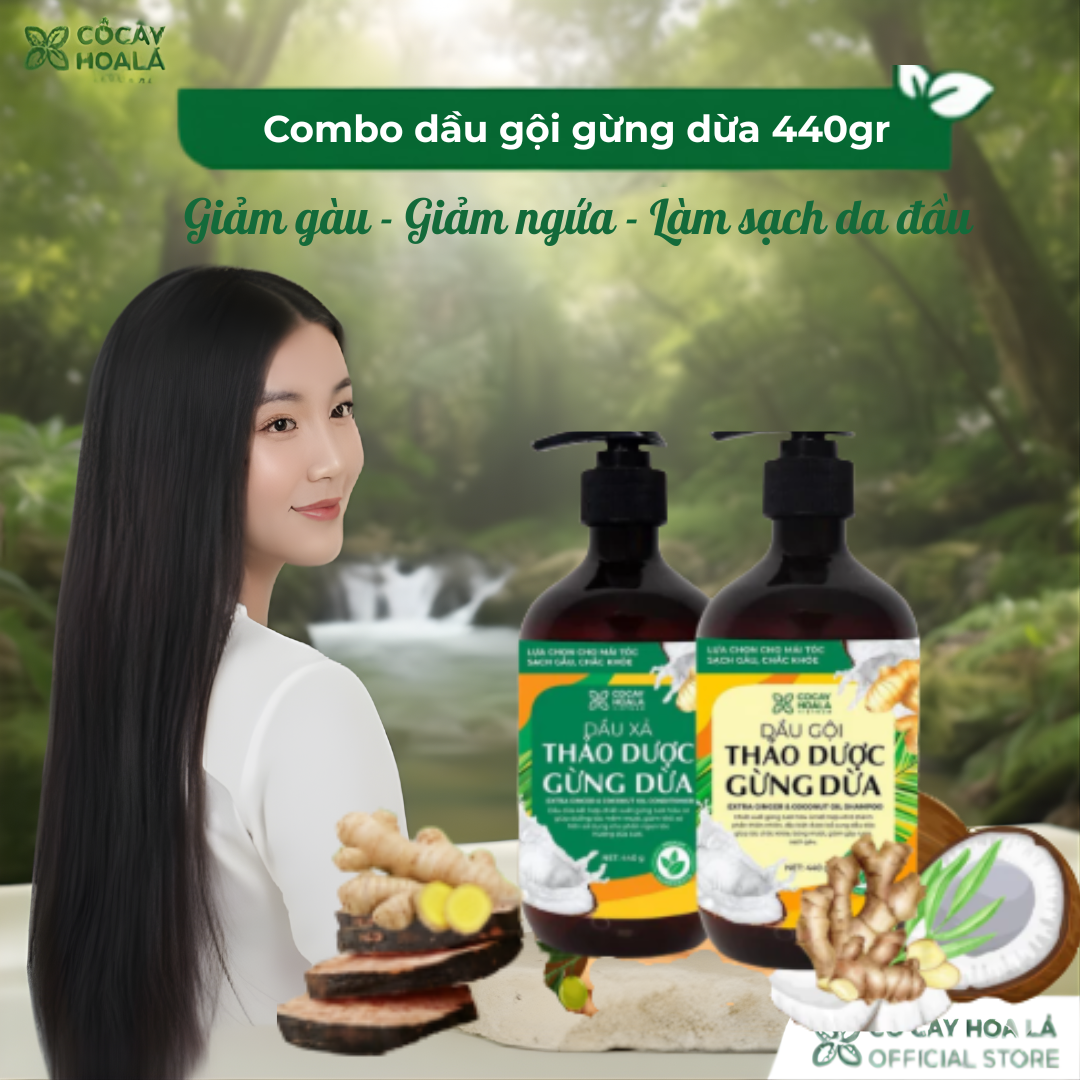 Combo Dầu Gội Xả Gừng Dừa Cỏ Cây Hoa Lá 440gr – Sạch Gàu, Hết Ngứa, Giúp Tóc Chắc Khỏe Tự Nhiên