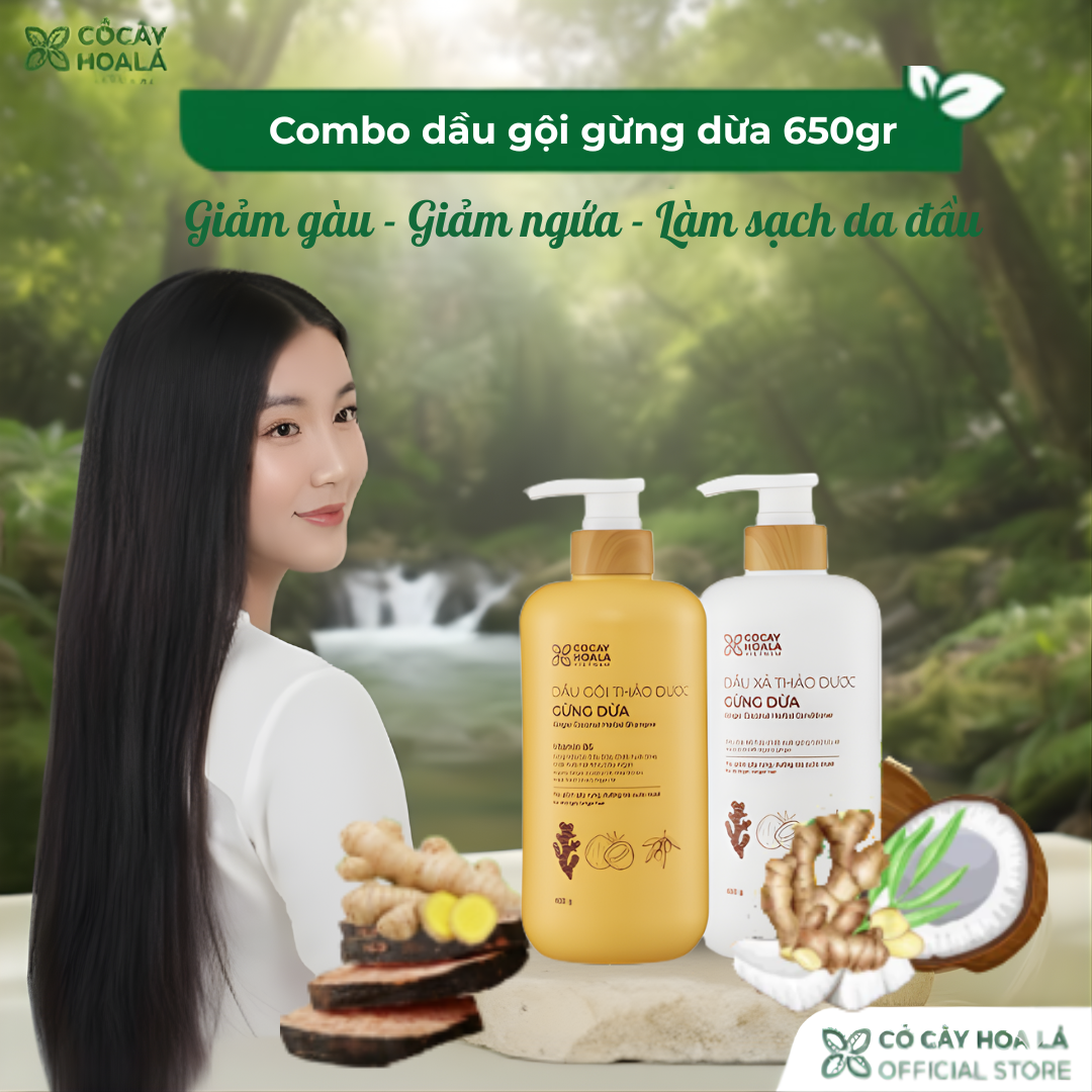 Combo Dầu Gội Xả Thảo Dược Gừng Dừa Cỏ Cây Hoa Lá 650g - Sạch Gàu, Hết Ngứa, Giúp Tóc Chắc Khỏe Tự Nhiên