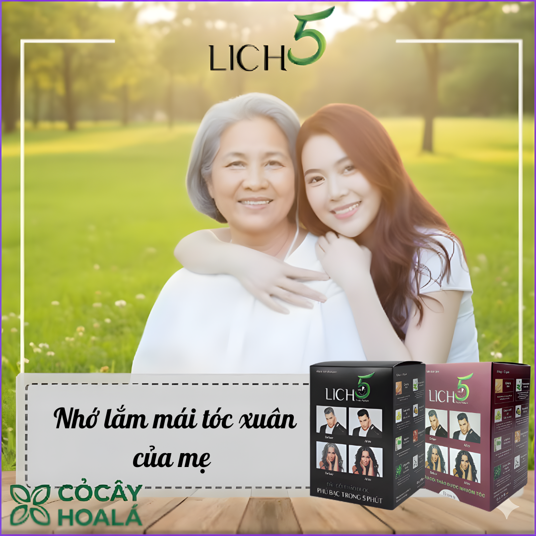 [Quà tặng cho người thân yêu] Dầu Gội Phủ Bạc Lich5 Màu Nâu Đen – Nhuộm Tóc Thảo Dược, Không Ngứa Rát